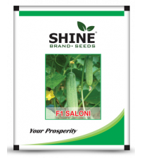 Cucumber Saloni 10 grams